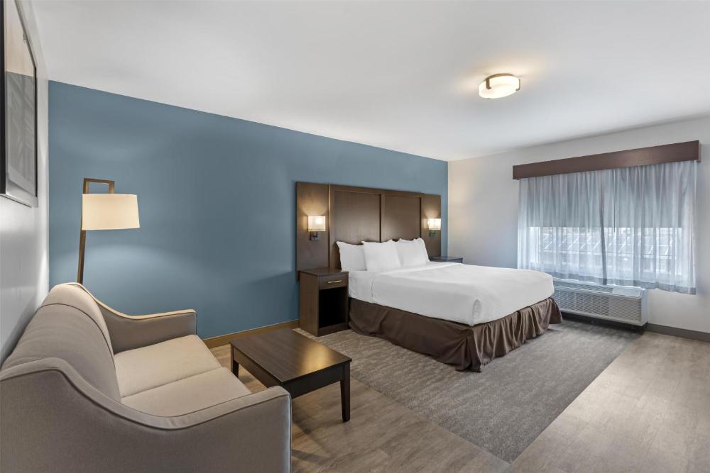 King Room with Sofa Bed - Shower Only interior